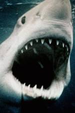 Watch Sharkmania: The Top 15 Biggest Baddest Bloodiest Bites Tvmuse