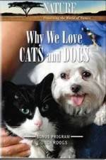 Watch Why We Love Cats And Dogs Tvmuse