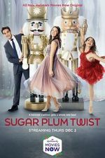 Watch Sugar Plum Twist Tvmuse