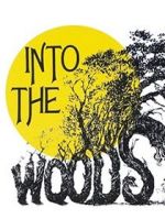 Watch Into the Woods Tvmuse