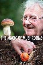 Watch The Magic of Mushrooms Tvmuse