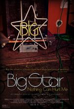 Watch Big Star: Nothing Can Hurt Me Tvmuse