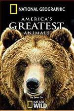 Watch America's Greatest Animals Tvmuse