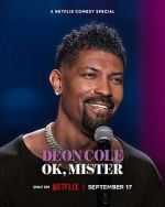 Watch Deon Cole: Ok, Mister (TV Special 2024) Tvmuse