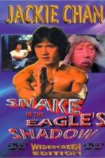Watch Bruce Vs. Snake In Eagle's Shadow Tvmuse