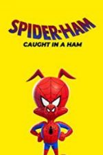 Watch Spider-Ham: Caught in a Ham Tvmuse