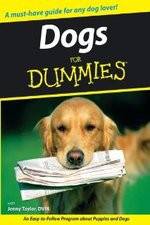 Watch Dogs for Dummies Tvmuse
