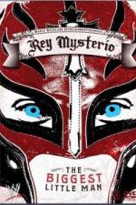 Watch WWE Rey Mysterio - The Biggest Little Man Tvmuse