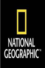 Watch National Geographic: Very odd couples Tvmuse