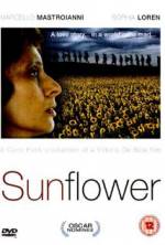 Watch Sunflower Tvmuse