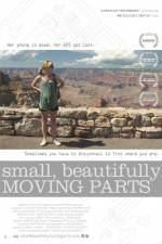 Watch Small Beautifully Moving Parts Tvmuse