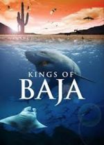 Watch Kings of Baja Tvmuse
