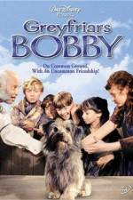 Watch Greyfriars Bobby The True Story of a Dog Tvmuse