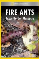 Watch National Geographic Fire Ants: Texas Border Massacre Tvmuse