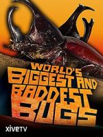 Watch World\'s Biggest and Baddest Bugs Tvmuse