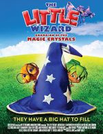 Watch The Little Wizard: Guardian of the Magic Crystals Tvmuse