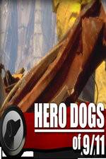 Watch Hero Dogs of 911 Documentary Special Tvmuse