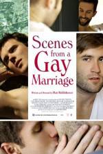 Watch Scenes from a Gay Marriage Tvmuse