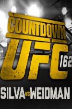 Watch Countdown To UFC 162 Tvmuse