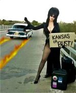 Watch The Elvira Show Tvmuse