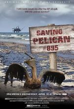 Watch Saving Pelican 895 (Short 2011) Tvmuse