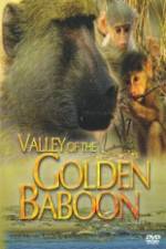 Watch National Geographic Golden Baboons Tvmuse