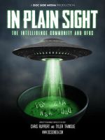 Watch In Plain Sight: The Intelligence Community and UFOs Tvmuse