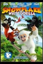 Watch Snowflake, the White Gorilla Tvmuse