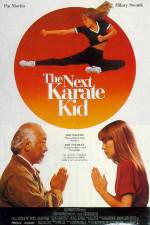 Watch The Next Karate Kid Tvmuse