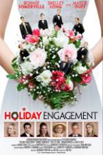 Watch Holiday Engagement Tvmuse