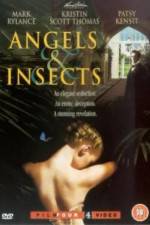 Watch Angels and Insects Tvmuse