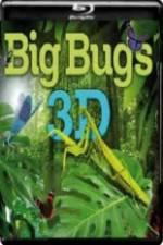 Watch Big Bugs in 3D Tvmuse