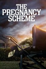 Watch The Pregnancy Scheme Tvmuse