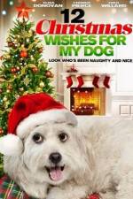 Watch 12 Christmas Wishes For My Dog Tvmuse