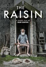 Watch The Raisin (Short 2017) Tvmuse
