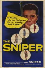 Watch The Sniper Tvmuse