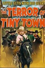 Watch The Terror of Tiny Town Tvmuse