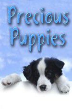 Watch Precious Puppies Tvmuse