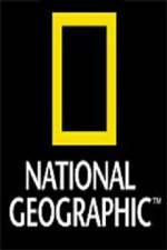Watch National Geographic: Wild Nights - Miami Tvmuse
