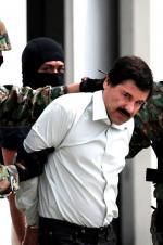 Watch The Rise and Fall of El Chapo Tvmuse