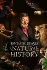 Watch Fantastic Beasts: A Natural History Tvmuse