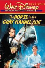 Watch The Horse in the Gray Flannel Suit Tvmuse