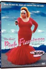 Watch Pink Flamingos Tvmuse
