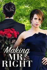 Watch Making Mr. Right Tvmuse