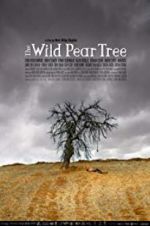 Watch The Wild Pear Tree Tvmuse