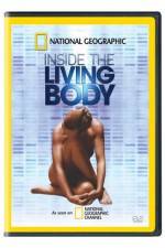 Watch National Geographic The Incredible Human Body Tvmuse