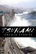 Watch Tsunami: Untold Stories Tvmuse