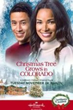 Watch A Christmas Tree Grows in Colorado Tvmuse