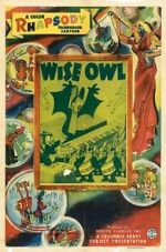 Watch The Wise Owl (Short 1940) Tvmuse