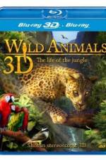 Watch Wild Animals - The Life of the Jungle 3D Tvmuse